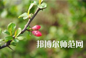 西安幼兒師范職業(yè)學(xué)校2023年學(xué)費(fèi)、收費(fèi)多少