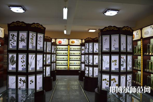 銅川職業(yè)技術(shù)師范學(xué)院2023年學(xué)費(fèi)、收費(fèi)多少
