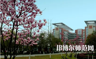 長江師范學(xué)院2023年報(bào)名條件、招生要求、招生對(duì)象 