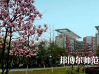 長江師范學(xué)院2023年報(bào)名條件、招生要求、招生對象