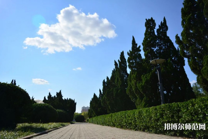 山東石油化工師范學(xué)院2023年報(bào)名條件、招生要求、招生對(duì)象 