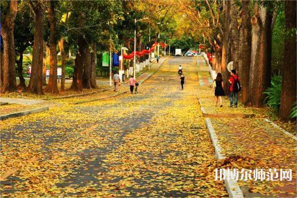 海南大學師范學院海甸校區(qū)2023年報名條件、招生要求、招生對象 