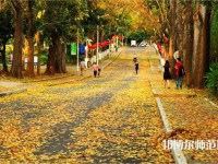 海南大學師范學院海甸校區(qū)2023年報名條件、招生要求、招生對象