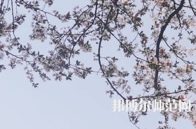 湖南第一師范學(xué)院城南書院校區(qū)2023年學(xué)費(fèi)、收費(fèi)多少