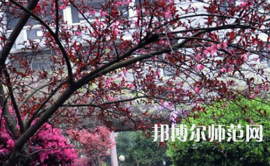 湖南第一師范學(xué)院城南書院校區(qū)2023年怎么樣、好不好
