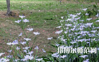 湖南第一師范學(xué)院城南書院校區(qū)2023年怎么樣、好不好