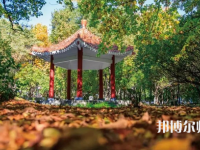 黑龍江師范大學(xué)2023年報名條件、招生要求、招生對象