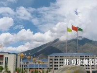 拉薩師范高等?？茖W校2023年招生代碼