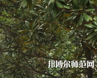湖南師范大學(xué)樹達學(xué)院2023年學(xué)費、收費多少