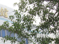 湖南師范大學(xué)樹達學(xué)院2023年怎么樣、好不好