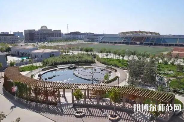 天津外國語師范大學濱海校區(qū)2023年有哪些專業(yè)