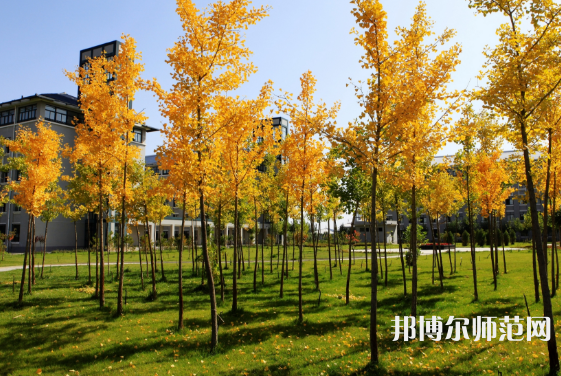 瀘州江南幼師職業(yè)中專學校2023年報名條件、招生要求、招生對象
