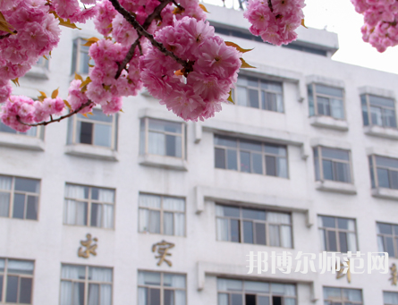 淮陰師范學(xué)院2023年報(bào)名條件、招生要求、招生對(duì)象