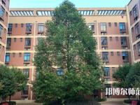 四川師范大學成都學院眉山校區(qū)2023年怎么樣、好不好