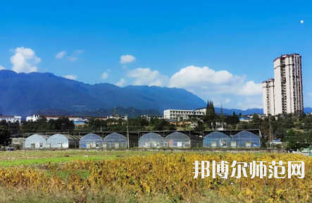 四川農(nóng)業(yè)師范大學雅安校區(qū)2023年排名