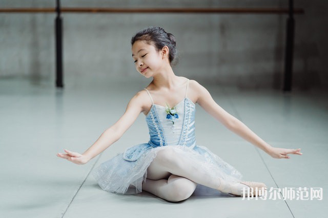 南充電子工業(yè)幼兒師范學(xué)校介紹、地址
